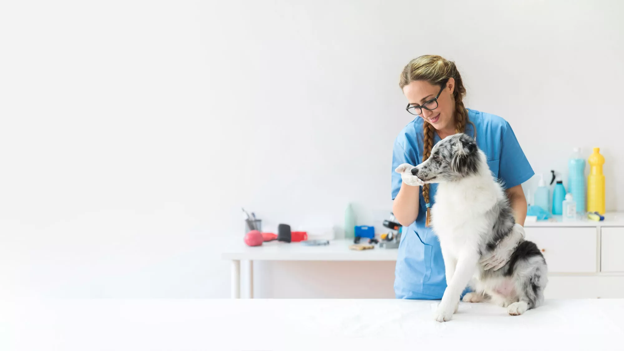 Veterinarian with dog
